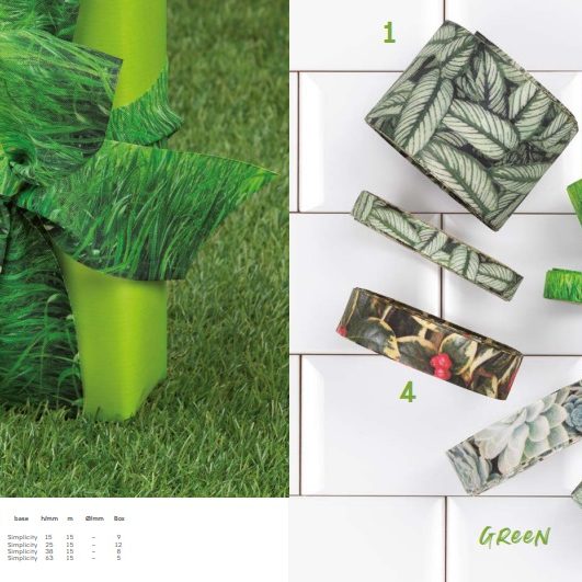 Diseño Green TUO Brizzolari